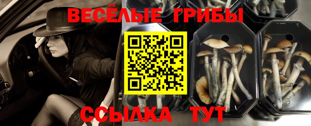 Галлюциногенные грибы MAGIC MUSHROOMS Электросталь
